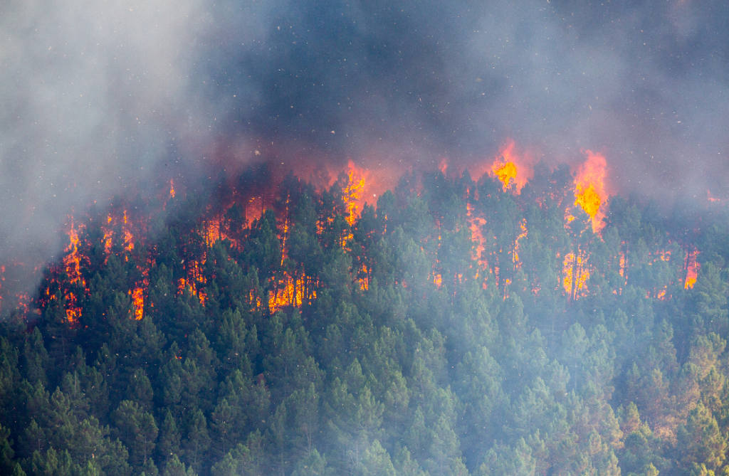 waldbrände-in-kalifornien-feuerwehr-am-limit